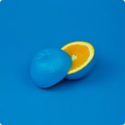 arcadia design | unlimited graphic design | affordable web design