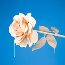 arcadia design | unlimited graphic design | affordable web design