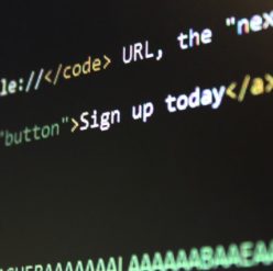 web design process 14 | arcadia design web design process 14 | arcadia design